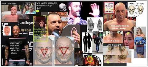 EGI Joe Rogan (FTM) clown show (Mr E)