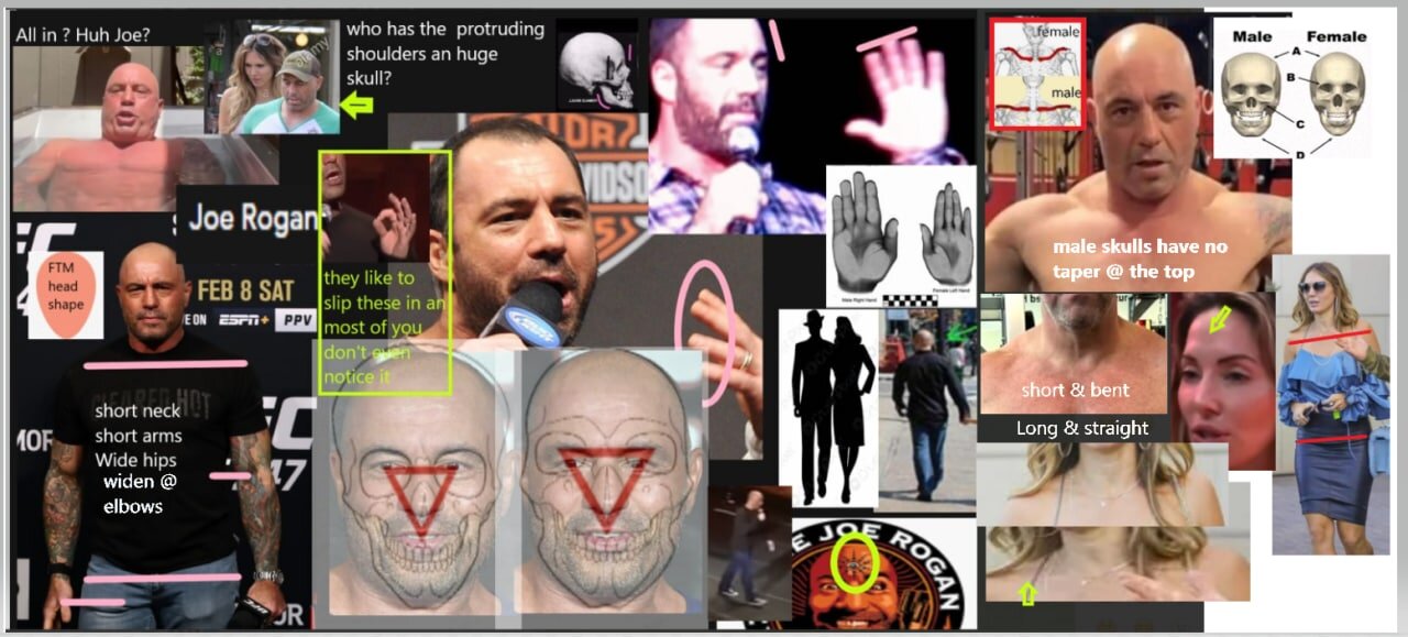 EGI Joe Rogan (FTM) clown show (Mr E)