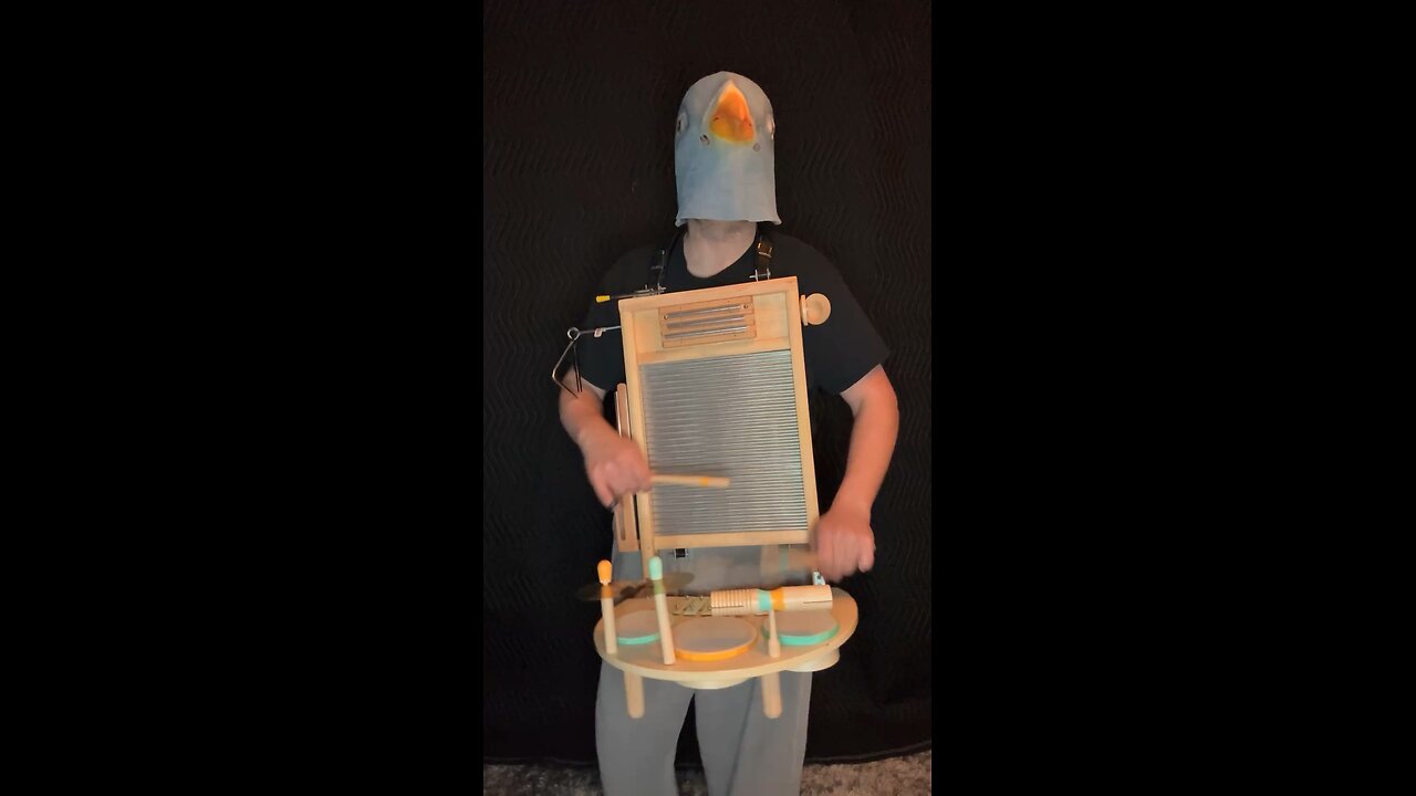 Pigeon plays percussion