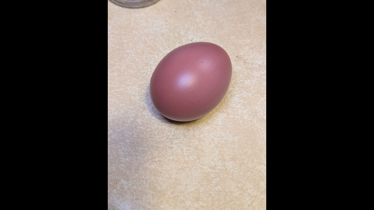 Heavy Bloom Egg