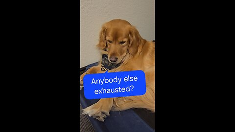 Anybody else exhausted?