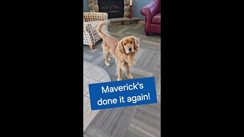 Maverick's done it again!