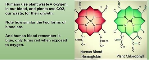 Craig Lane Health Alkemy Green Juice Straining (for our health! LOL)