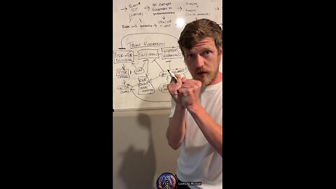 Gene function across chromosomes Restoration - "Triune Restoration" by MARC MALONE