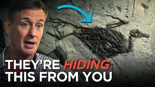 Schools Will NEVER Show You These Fossils (Here’s Why)