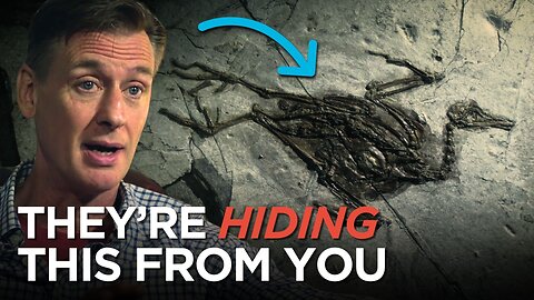 Schools Will NEVER Show You These Fossils (Here’s Why)
