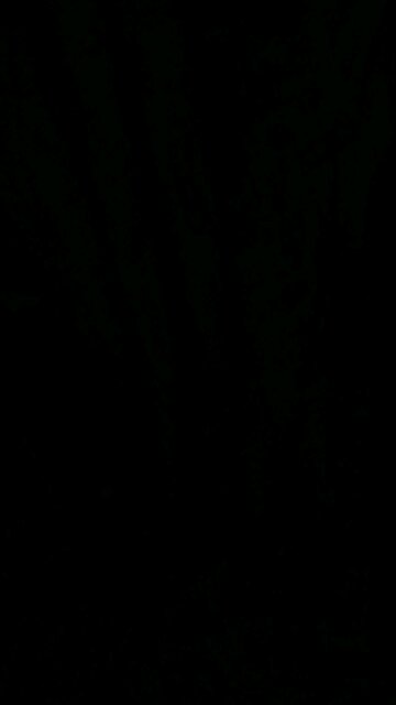 Where Have All the Chickens Gone