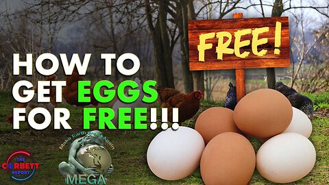 How to Get Eggs for Free!!! - #SolutionsWatch | Corbett Report