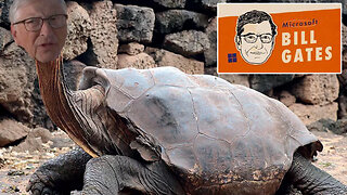 Bill Gates | BREAKING NEWS!!! Does Bill Gates Look Like a Turtle? "I Had a Long & Intriguing Dinner w/ Him (Trump)...It Was Over 3 Hours..In the COVID Days He Accelerated the Vaccine Innovation."- Bill Gates (1/17/25)