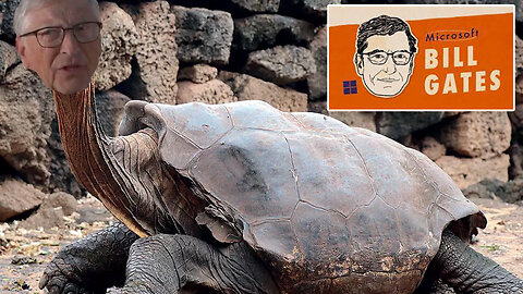 Bill Gates | BREAKING NEWS!!! Does Bill Gates Look Like a Turtle? "I Had a Long & Intriguing Dinner w/ Him (Trump)...It Was Over 3 Hours..In the COVID Days He Accelerated the Vaccine Innovation."- Bill Gates (1/17/25)