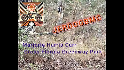 Heybike E-Bike Ride on the Marjorie Harris Carr Cross Florida Greenway (ASMR)