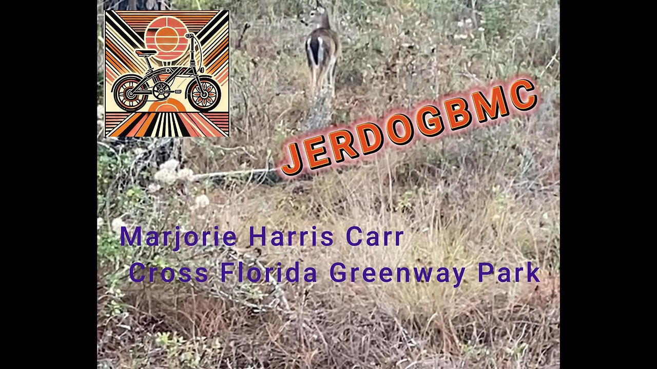Heybike E-Bike Ride on the Marjorie Harris Carr Cross Florida Greenway (ASMR)