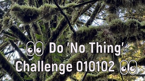 Do 'No Thing' Challenge 205 🐇 New Earth Creations #shonesthoughts #naturemeditation #natureshorts