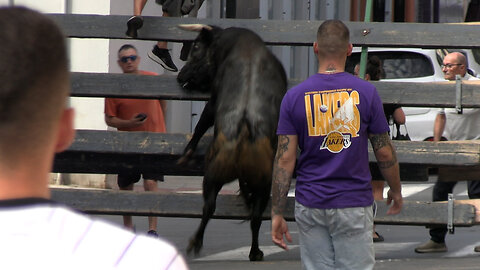 2025 09 28 LA VALL D'UIXÓ SAN FRANCISCO DE ASÍS