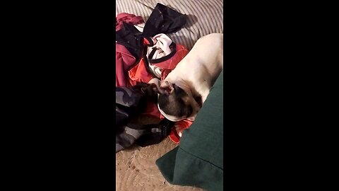 Baby missing his momma