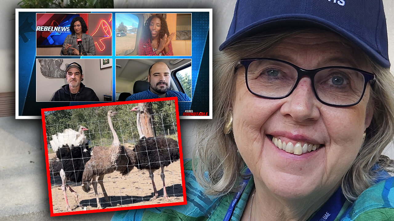 Elizabeth May defends B.C. ostriches — but can't resist a swipe at their 'MAGA' supporters
