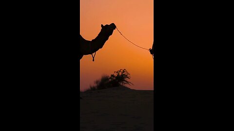 Secrets to unfold