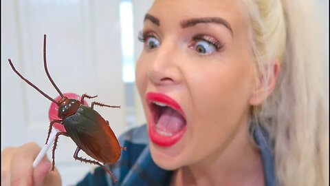 Roach on My Lollipop! Shocking Discovery Caught on Camera