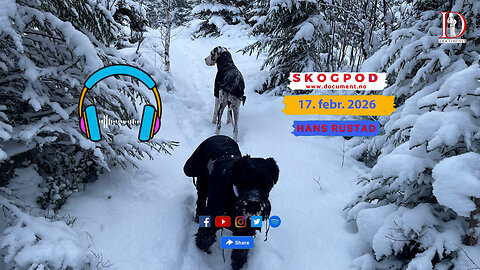 Skogpod 17. februar 2026