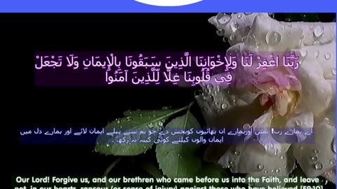 Top 40 Rabbana Duas Every Muslim Should Know (dua no 36) #shorts