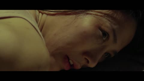 真爱历险 (2024)