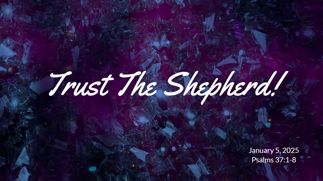 Trust The Shepherd!