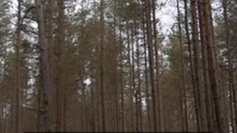 Daily Horoscope | Pisces 🌟