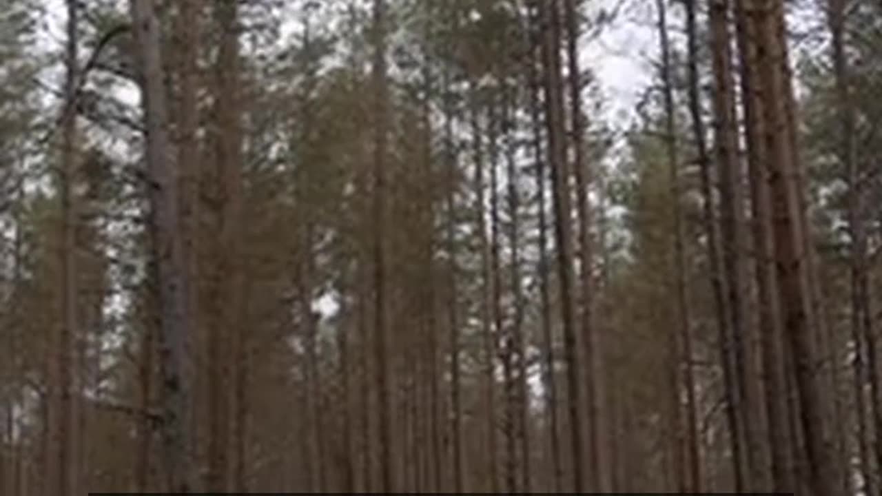 Daily Horoscope | Pisces 🌟