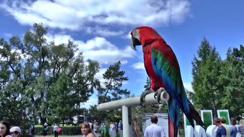 Parrot 🦜 make you rich