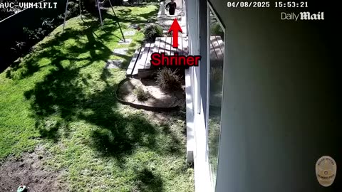 Weezer bassist Scott Shriner faces divorce filing as wife seeks custody after arrest