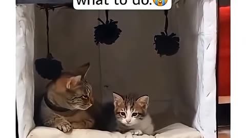 Healing is a journey, not a sprint! 💕 With God's love and grace, you can overcome