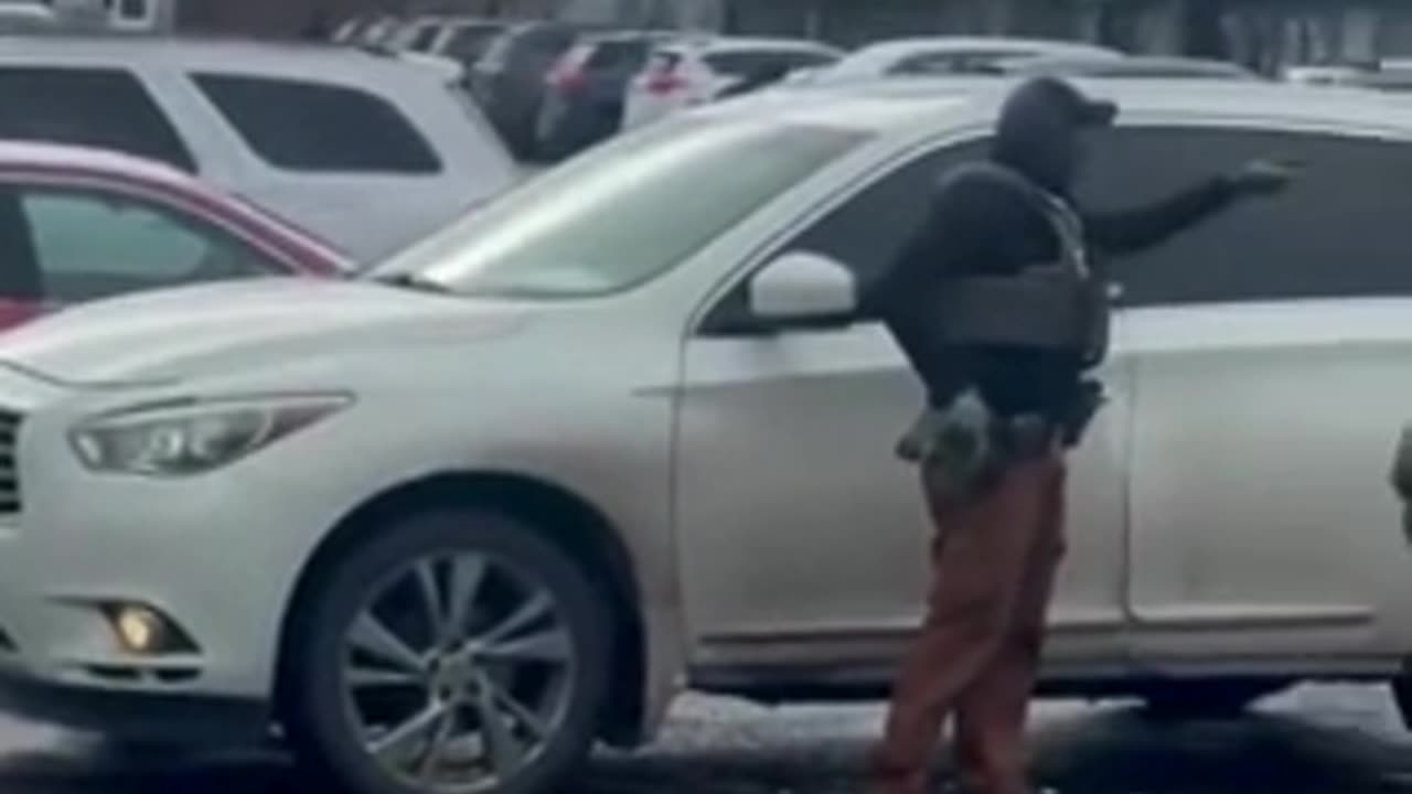 Somali mob rushes ICE agents in St. Cloud