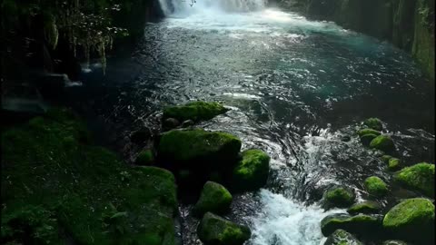 1 Hour of Peaceful Stream Sounds with Soft Relaxing Piano Music