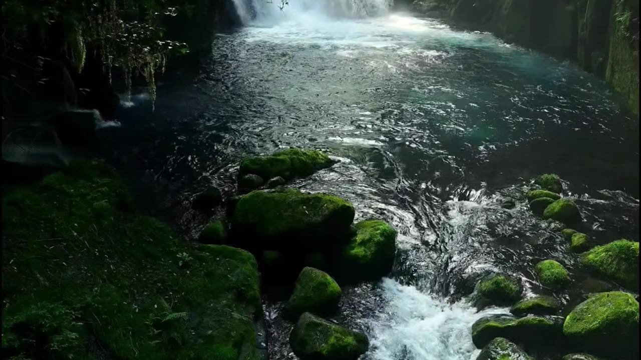 1 Hour of Peaceful Stream Sounds with Soft Relaxing Piano Music
