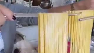 🤣🍝 The Secret to Perfect Pasta is SO Simple! | FunFM