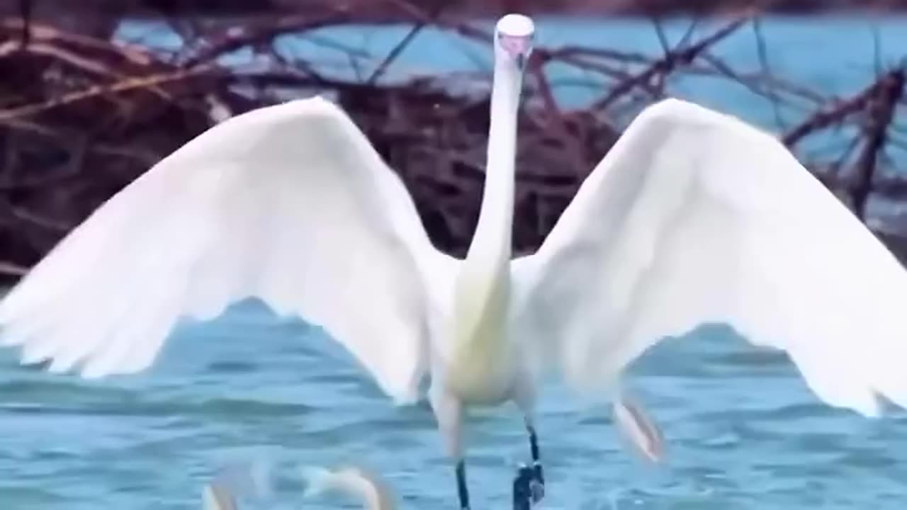But
