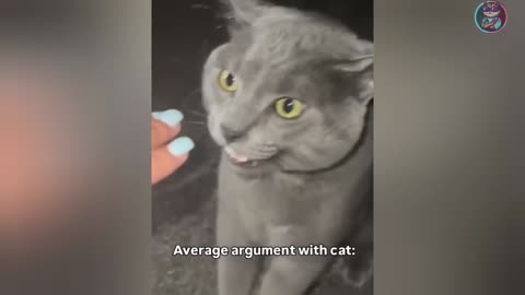 Funny cats and dogs new