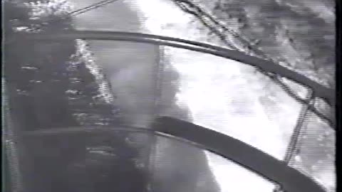 D89. Die Grauen Wolfen2