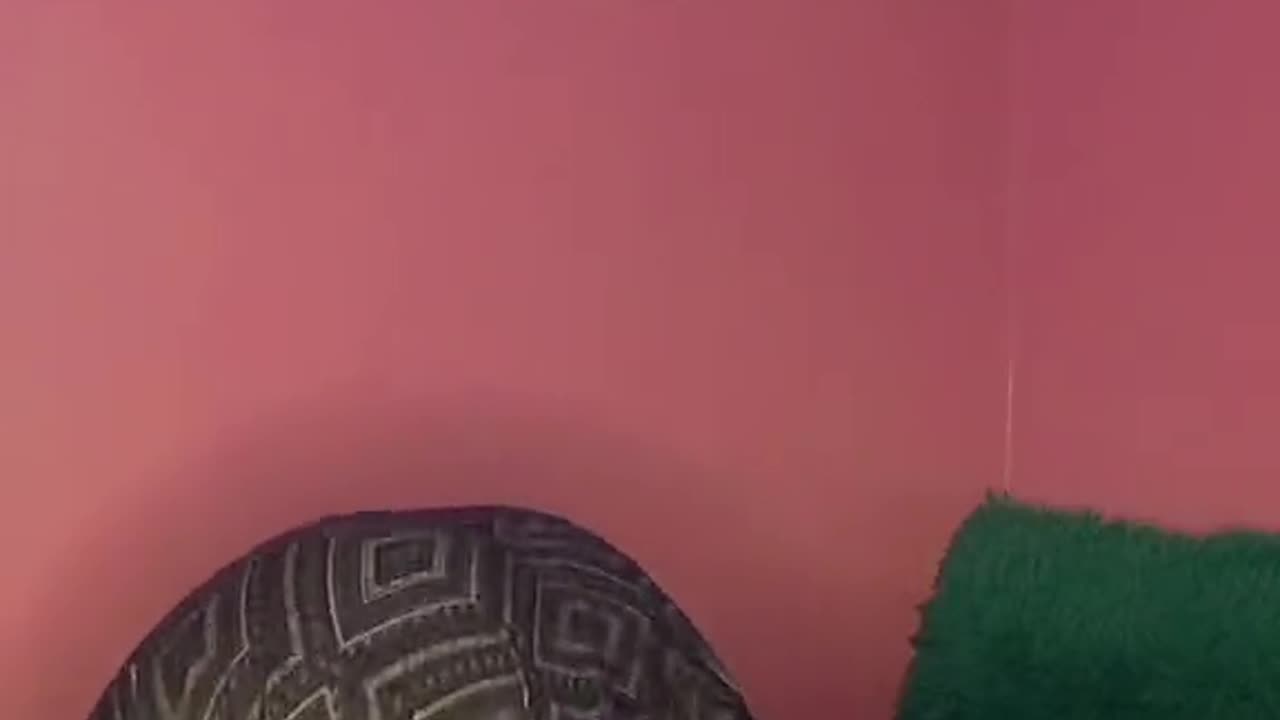 Thick Zulu girl twerks in black thong.