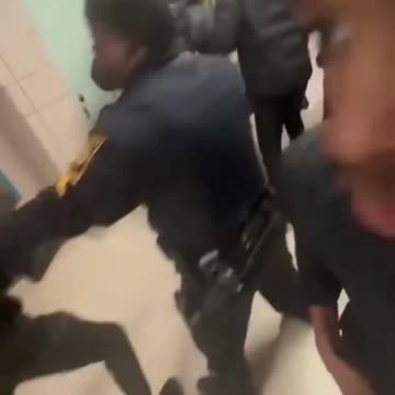 Doctors or engineers_???