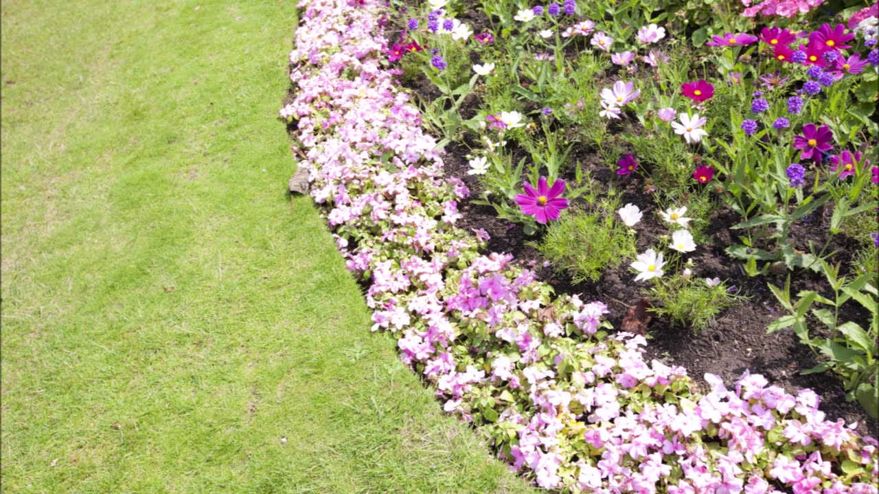 High Desert Vista Landscaping