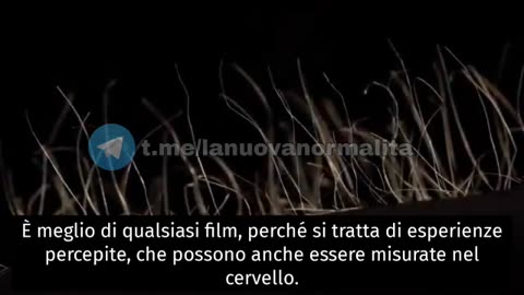 Sogni