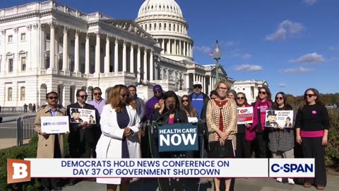 MOMENTS AGO: Democrats Hold News Conference on Day 37 of Gov't Shutdown...