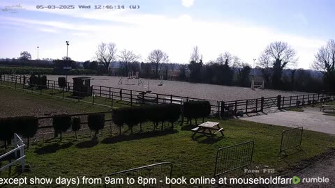 Mousehold Farm All Weather Riding arena