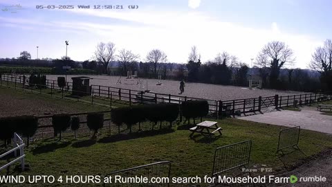 Mousehold Farm All Weather Riding arena