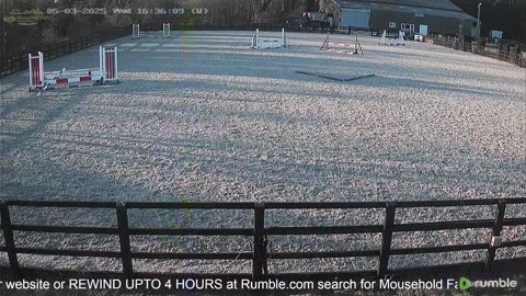 Mousehold Farm All Weather Riding arena