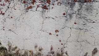 Archaeologists Just Found Something BENEATH Baalbek — And It's Darker Than History Told Us