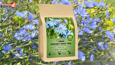 Efecto del Té de Raíz de Achicoria en el Organismo