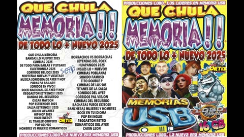 USB QUE CHULA MEMORIA!! LOBO DJ---Discos Ortiz 2025