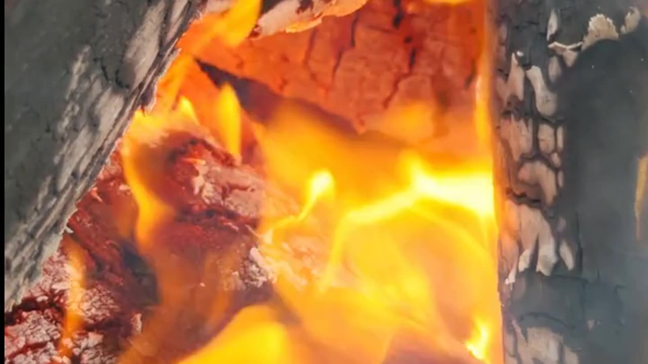 Daily Horoscope | Aries 🌟